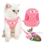 Zunea Pet Dog Cat Harness and Lead Set Escape Proof No Pull Adjustable Reflective Step-in Vest Harnesses for Walking Soft Mesh Padded Corduroy for Cats Kitten Puppy Small Dogs Pink S