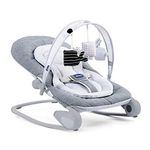 Chicco Baby Bouncer Seats