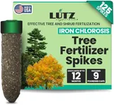 Lutz Corporation Iron Chlorosis Tre