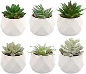 Artigreen 6 Pack Artificial Succulents Small Fake Succulent in Pots，Assorted Decorative Faux Succulent Potted，Mini Faux Potted Succulent Decor for Table Decor，Bathrooms, Office Decor