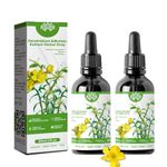 INBOLM 2PCS Clear breath Dendrobium & Mullein Extract Herbal Drops, Mullein Leaf Extract for Lungs with Mullein Leaf Extract for Lungs, Mullein Leaf for Herbal Lung Cleansing Spray