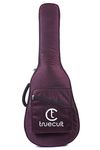 True Cult Acoustic Guitar Bag/Cover with Foam Padding (Wine Red) Strong and Durable for multiple sizes and shapes folk/classical guitars 96.52 cm, 99.06 cm, 101.6 cm, 104.14 cm (38", 39", 40", 41")