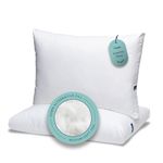 Casper Essential Pillow for Sleeping, King, White, Two Pack