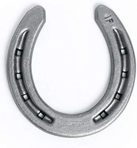 The Heritage Forge Steel Horseshoes Set for Horses, Crafts, Decorations and Backyard Games - Size 000 - R1-F - Sand Blasted 20 Shoes