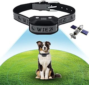 WIEZ GPS W