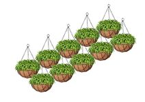 Bianco 10" Coir Hanging Basket/Coco Gardening Liner with Hanging Pots and Metal Hanging Chain/Hanging Planters- Set of 10 (Brown)