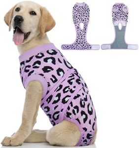 Kuoser Dog