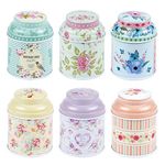 TooGet Elegant Metal Tinplate Empty Tins, Shabby Chic Mini-boxes for DIY Candles, Dry Storage, Spices, Tea, Candy, Party Favors, and Gifts (Cylinder 6-Pack)