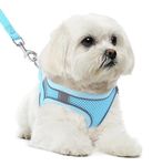 HPETHF Dog Harness for Small Dogs Leashes Set,Soft No Pull Adjustable Breathable Mesh Leash and Harness Vest Belt for Puppy,Small,Medium Dogs and Cats.（BE-CA1-XS）