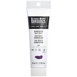 Liquitex Professional Heavy Body Acrylic Paint, 2-oz Tube, Quinacridone Blue Violet