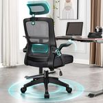 ELFORDSON Office Desk Chair Ergonomic for Home Office, Computer Mesh Chair with Dynamic Lumbar Support Headrest Flip-up Armrest Tilting Swivel Chair, Black