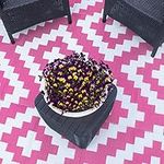 Valiant Geometric Outdoor Patio and Decking Rug - 6ft x 4ft (1.8m x 1.2m) - Pink