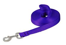 LupinePet Basics 3/4" Purple 15-Foot Extra-Long Training Lead/Leash for Medium and Larger Dogs