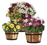 GARDENGOODZ 5/800/3 Acacia Wood Barrel Planter, Set of 3