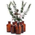 Amber Glass Bottles, 6-Pack of Vintage Style Pharmacy Bottles, 6.3 x 12.2 cm Each