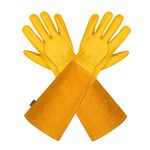 Sap Gloves For Women