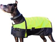 WapaW 600D Ripstop Waterproof Winter Dog Jacket | Dog Winter Cloth Warm Dog Cloths Cold Weather Coats for Pets (M (17.5 Inch), Lemon Green)