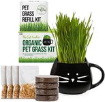 TCL Black Cat Mug Cat Grass Kit and Refill