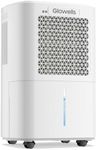 2500 Sq.Ft Dehumidifiers for Home B