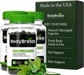 BodyBreeze Internal Deodorant Supplement | Natural Chlorophyll 90 Capsules for Body Odor Control, Gut Health, and Fresh Breath | Vegan, Detox Support & Skin Health | Odor Eliminator for Men & Women
