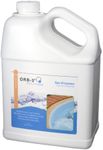 Orb-3 Y240-000-1G Spa Enzymes Jug, 1-Gallon