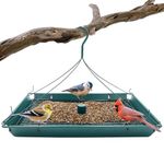 Zenport Z203009 2-in-1 Platform Bird Feeder, Post Mount