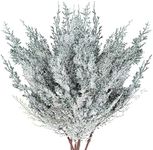 6 Pieces Frosted Artificial Cedar Pine Branches Sprigs 17" Snowy Faux Cedar Twig White Winter Greenery Stems Pine Picks Cedar Spray for Christmas Tree Craft Wreaths Garlands Holiday Season Decor (6)