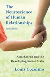 The Neuroscience of Human Relationships: Attachment and the Developing Social Brain: 0 (Norton Series on Interpersonal Neurobiology)