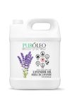 PUROLEO Lavender Essential Oil 32 Fl Oz/946 ML (Packed In Canada) 100% Pure Natural Undiluted Cold Pressed for Aromatherapy Therapeutic Grade Aromatherapy Oil for Sleep, Relaxation Bulgaria France Oil Diffuser