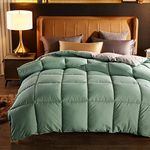 BOtizr 13.5 Tog King Size Duvet,All Seasons Duvet,Bedding Quilts Double Duvet,Spring/Autumn/Winter Single Double Warm Lightweight Down Comforter,C,200x230cm (4kg)