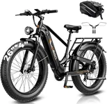 Jasion Thunder Pro Electric Bike,20