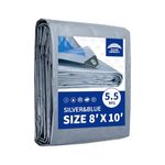 RAINDEWAY Silver/Blue Tarps 8x10 Feet, 5.5 Mil - Multipurpose Waterproof Poly Tarp Cover with Metal Grommets and Reinforced Edges