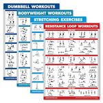 Dumbbell Exercises