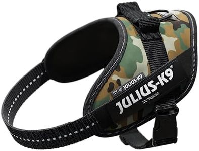 Julius-K9,