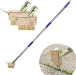 Crack Weeder with 2 Weed Brush Head