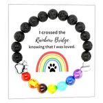 Aroncent Cat Dog Memorial Gifts: Rainbow Bridge Stone Bead Bracelet Loss Sympathy Jewelry Gift for Pet Lovers Friends Bereavement Remembrance Gift