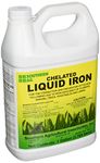 Southern Ag Chelated Liquid Iron, 128oz - 1 Gallon