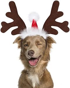BWOGUE Dog Elk Reindeer Antler Headband with Santa Hat Pet Pet Christmas Costume Headwear Accessories for Dogs and Cats Large