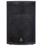 Peavey SP 2 Passive PA Speaker