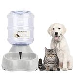 Filtered Water Dispenser For Dogs