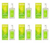 (Pack Of 6) Weleda (uk) - Citrus Deodorant - (100ml)