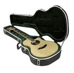 Skb Electric Acoustic Guitar