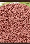 JCC Amazing Stones Red Sandstone Pebbles for Landscaping and Garden Decor,Red- 2-3 Inch (4990g)