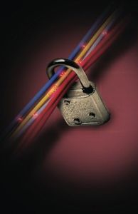 Internet Password Organizer: Ruby