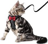 BLUWTE Cat Harness and Leash Escape