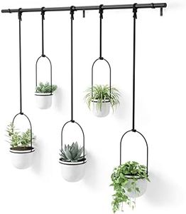 Umbra Triflora Hanging Planter for Window, Indoor Herb Garden, Set of 5, White/Black