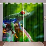 Chameleon Curtain for Kids Boys Teens Wild Animal Print Blackout Curtains Nature Theme Window Curtains for Bedroom Tropical Rainforest Creatures Darkening Thermal Drapes 2 Panel Set W46*L54