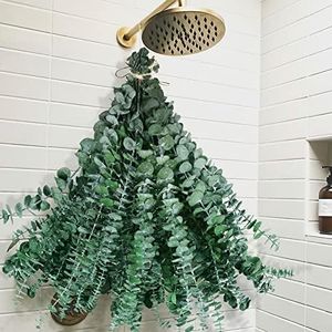 42 PCS Dried Eucalyptus Bundle for Shower - 17" Large Preserved Eucalyptus Stems Plant, Real Leaves for Shower Hanging, Artificial Flowers Arrangement, Home Bathroom Decor