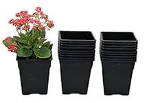 Atoke 10cm Thick Plant Pot,20 Pack Square Flowers Pot Plastic Planter Nursery Pots Container for Indoor Outdoor Plants,Herbs,Foliage Plant and Seeding Nursery…