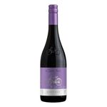 Cono Sur Bicicleta Pinot Noir Red Wine | Chile, Light & Juicy | 0.75 L